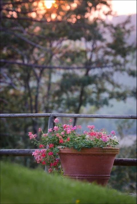 Casa Rosita, vakantiehuisVilla, Toscane, people: 6