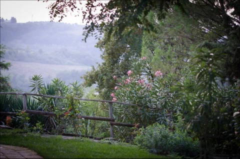 Casa Rosita, vakantiehuisVilla, Toscane, people: 6