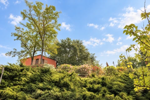 Maison de vacances en Toscane pour 6 personnes - Casa Rosita