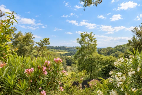 Maison de vacances en Toscane pour 6 personnes - Casa Rosita