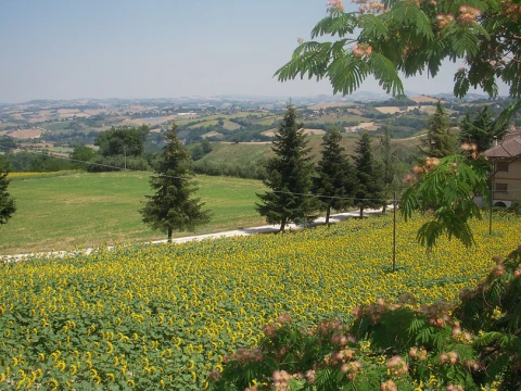 Casa Vista Panorama, Vakantiehuis, Le Marche, people: 14