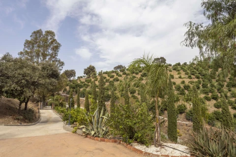 Casa Vista, Vakantiehuis, Costa Del Sol, people: 8