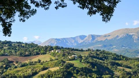 Casa Zazza, Vakantiehuis, Le Marche, people: 8