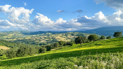 Casa Zazza, Vakantiehuis, Le Marche, people: 8