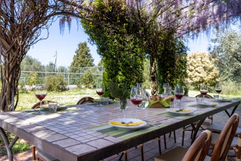 Maison de vacances en Toscane pour 16 personnes - Casale di Vinci