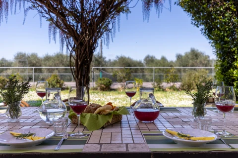 Maison de vacances en Toscane pour 16 personnes - Casale di Vinci