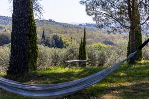 Maison de vacances en Toscane pour 16 personnes - Casale di Vinci