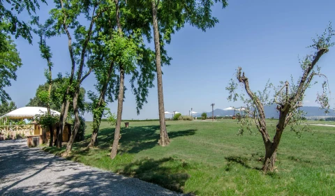 Casale nel Bosco - Olivo, Vakantiehuis, Toscane, people: 4