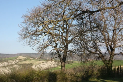 Casetta del Guardiano, vakantiehuisVilla, Toscane, people: 3
