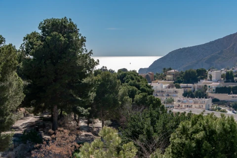 Casita Masnou, Appartement, Costa Blanca, people: 4