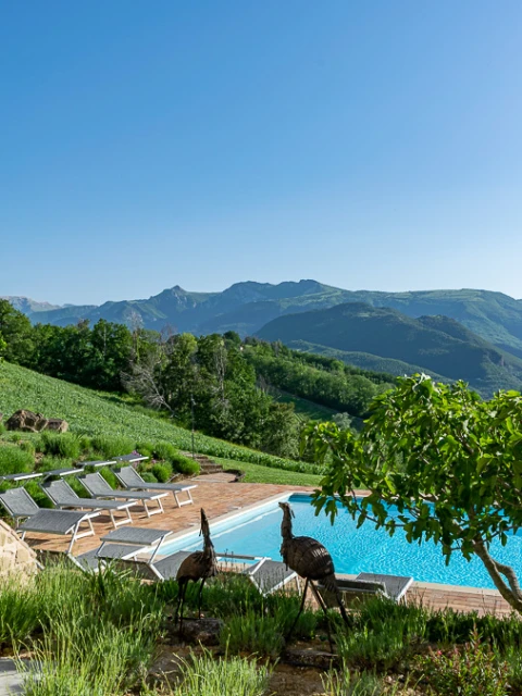 Cerqueto - Il Nido, Appartement, Le Marche, people: 2