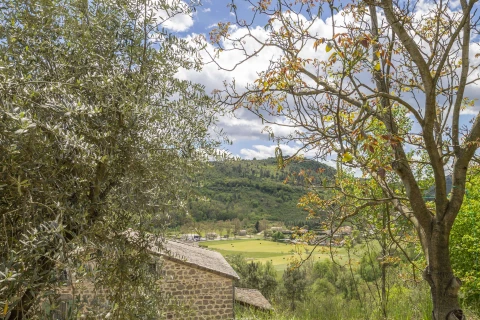 Chante Quinçon, Vakantiehuis, Ardeche, people: 13