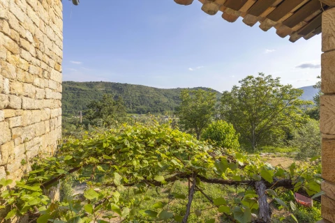 Chante Quinçon, Vakantiehuis, Ardeche, people: 13