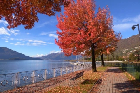 Como Lake (8p.), appartement, Comomeer, people: 8