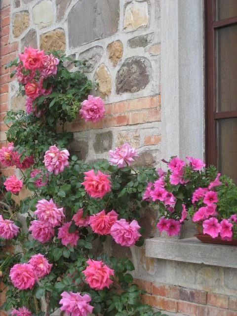 Conte Gualtiero, vakantiehuisVilla, Toscane, people: 8