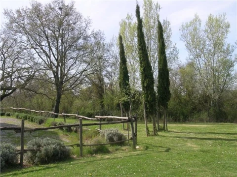 Conte Gualtiero, vakantiehuisVilla, Toscane, people: 8