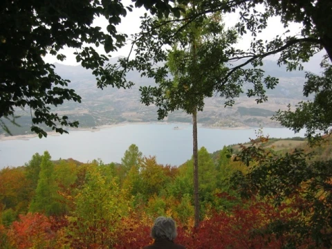 Costebelle B, vakantiehuisVilla, Provence, people: 8