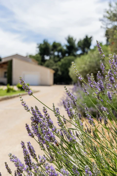 Douceur de Provence, Vakantiehuis, Provence, people: 8