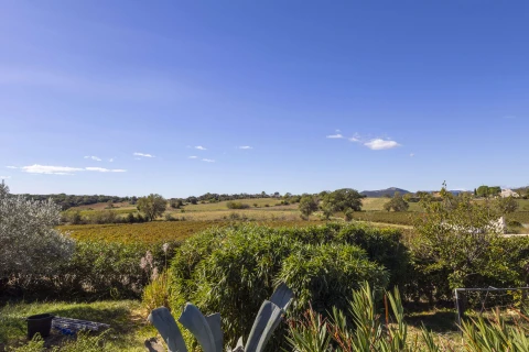 Entre Les Vignes, Vakantiehuis, Languedoc-Roussillon, people: 6