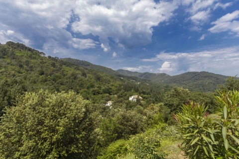 Etoile du Sud, Vakantiehuis, Languedoc-Roussillon, people: 6
