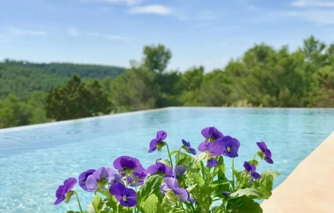 Finca Paz, Vakantiehuis, Ibiza, people: 10