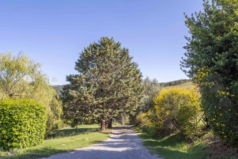 Maison de vacances en Toscane pour 13 personnes - Fonte dell'Orcia