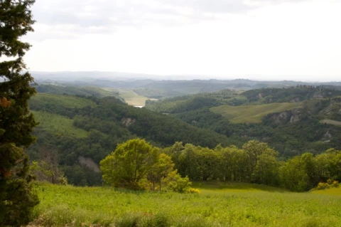 Giardino (Gli Allori), vakantiehuisVilla, Toscane, people: 2