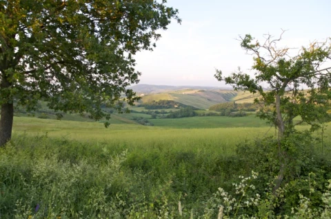 Giardino (Gli Allori), vakantiehuisVilla, Toscane, people: 2