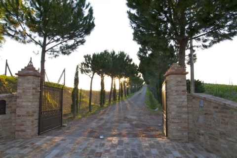 Giardino (il granaio), vakantiehuisVilla, Toscane, people: 5