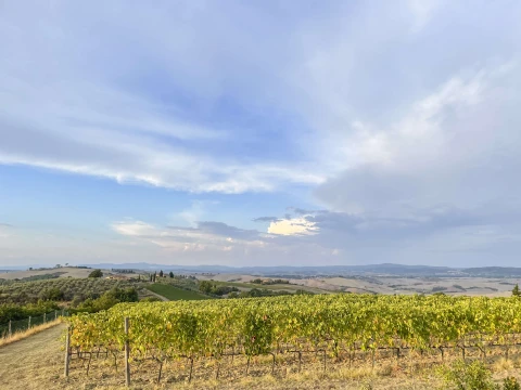 Giardino (il granaio), Vakantiehuis, Toscane, people: 5