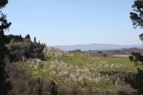 Giardino (le rose), vakantiehuisVilla, Toscane, people: 4