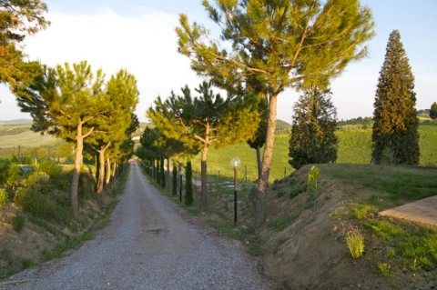Giardino (le rose), vakantiehuisVilla, Toscane, people: 4