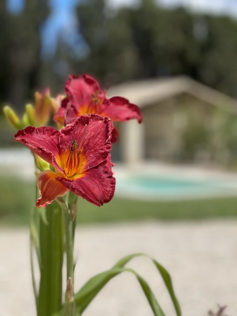 Gîte Grand Cru, Vakantiehuis, Provence, people: 6