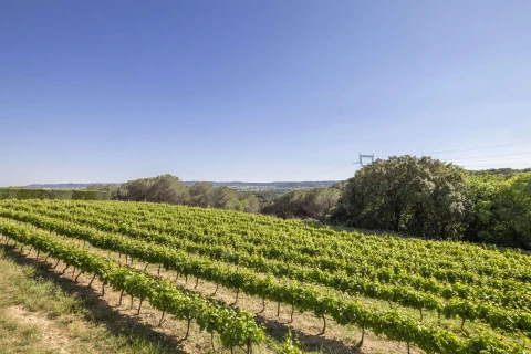 Gîte Tresques, Vakantiehuis, Languedoc-Roussillon, people: 4