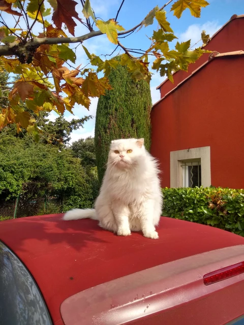Hacienda, Vakantiehuis, Languedoc-Roussillon, people: 6