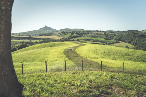 Il Fornace, Vakantiehuis, Toscane, people: 9