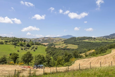 Holiday home in Tuscany for 9 people - Il Fornace