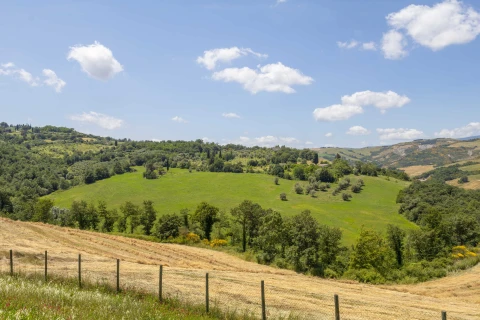 Holiday home in Tuscany for 9 people - Il Fornace