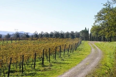 Il Frantoio, vakantiehuisVilla, Toscane, people: 18