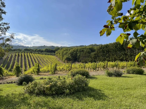 Il Polivere, Vakantiehuis, Umbrië, people: 12