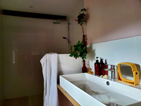 Holiday home in Languedoc-Roussillon for 15 people - La Bastide de Campagne