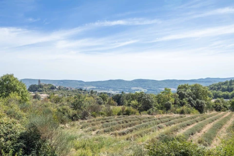 Ferienhaus in Provence für 8 Personen - La Bastide de Pierrefeu