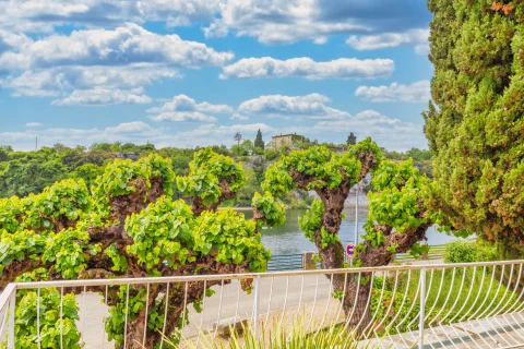 La Bâtisse de Rêve, Vakantiehuis, Ardeche, people: 8