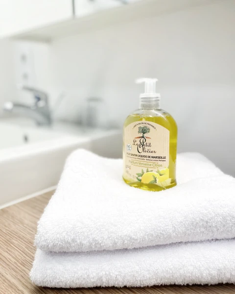 La Belle Ardechoise, Vakantiehuis, Ardeche, people: 10