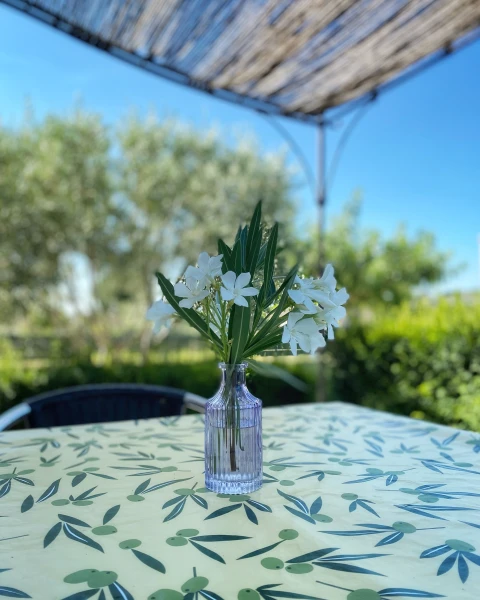 La Belle Ardechoise, Vakantiehuis, Ardeche, people: 10