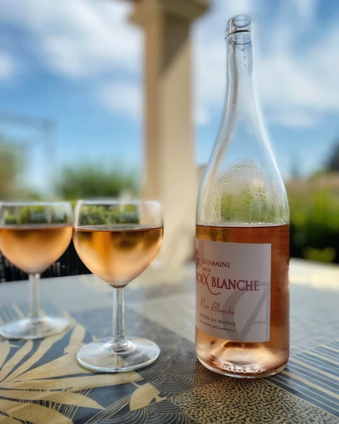 La Belle Ardechoise, Vakantiehuis, Ardeche, people: 10