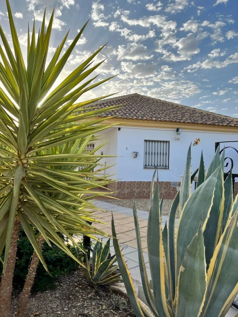 La Casa Arboleas, Vakantiehuis, Costa de Almería, people: 6