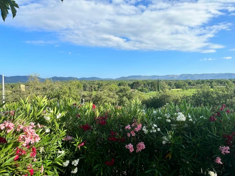 Vakantiehuis in Provence voor 12 personen - La Colline des Maures