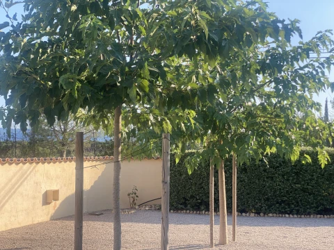 Vakantiehuis in Provence voor 12 personen - La Colline des Maures