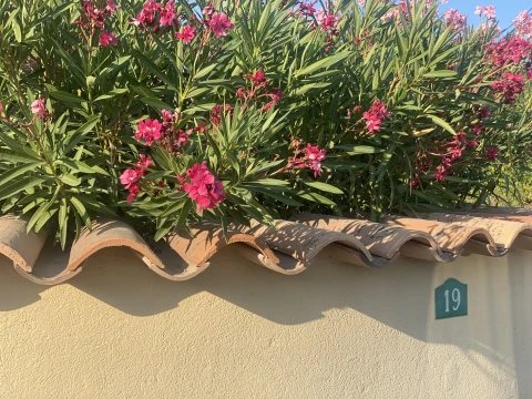 Vakantiehuis in Provence voor 12 personen - La Colline des Maures